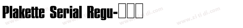 Plakette Serial Regu字体转换